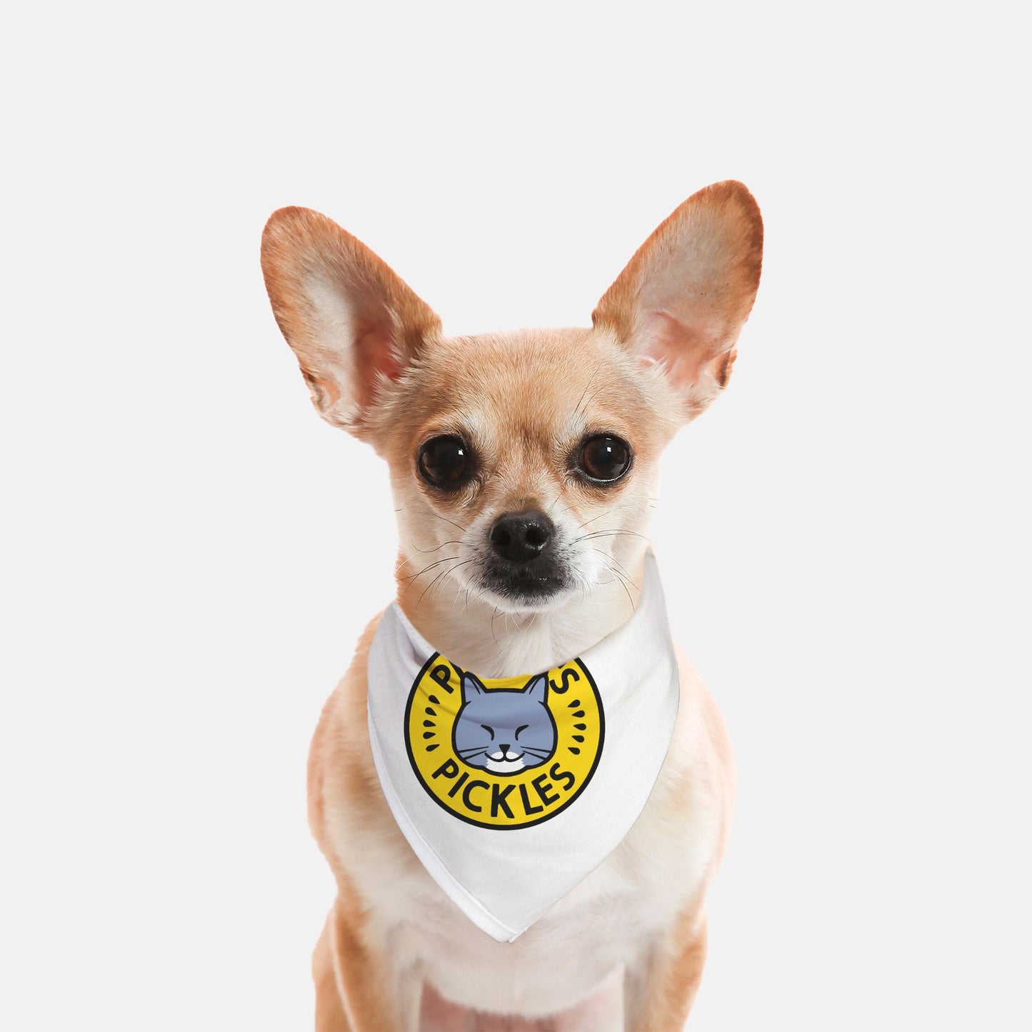 Team Pepper Small Pet Bandana